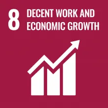 Sustainable Development Goal 8 icon in burgundy