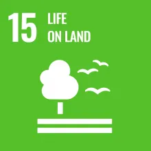 Sustainable Development Goal 15 Life On Land icon in green