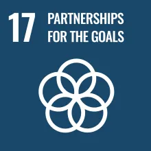 Sustainable Development Goal 17 Partnerships for the Goals icon in blue