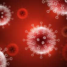 COVID-19 virus illustration, viruses floating on a red background.