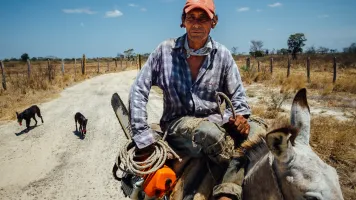 Farmer on Mule With Chainsaw, El Abra Colombia 